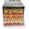 image:imageAroma Housewares AROMA Professional 10 Tray Digital Food Dehydrator AFD1000SD Stainless Steel