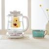 image:image16In1 NutriWater Kettle Green Tea Fruit Tea Flower Tea Asian Traditional Recipes1