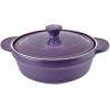 image:imageAroma Housewares ADC101SG Doveware Stew Pot 25 Quart Slate GrayPlum Purple